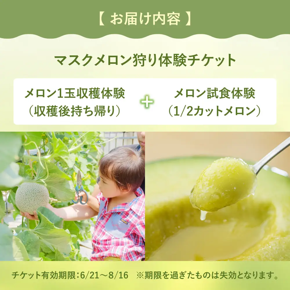 《 先行予約 》マルカ農園　メロン狩りチケット メロン