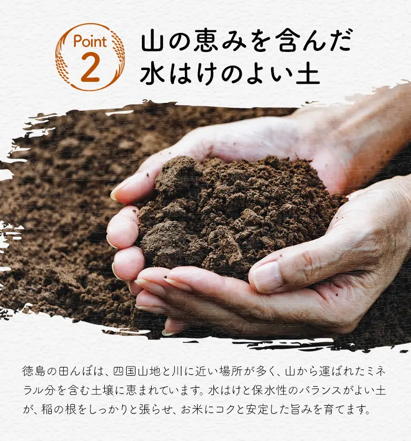 【先行予約】白米 徳島ふるさと応援米 20kg 米