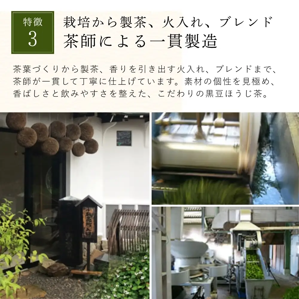 黒豆ほうじ茶　小分け 5袋（計50パック入り） ほうじ茶