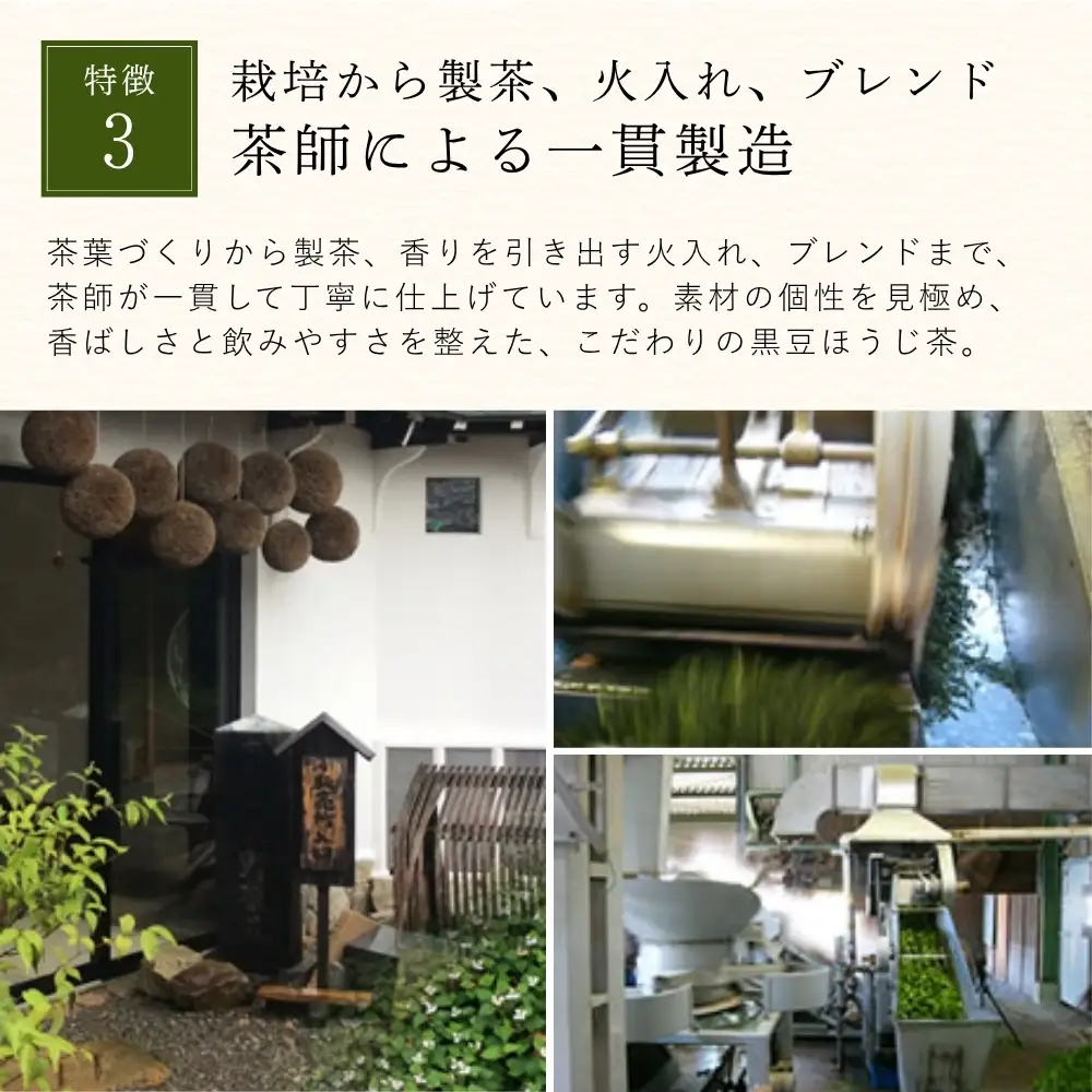 黒豆緑茶　小分け 10袋（計100パック入り） 緑茶