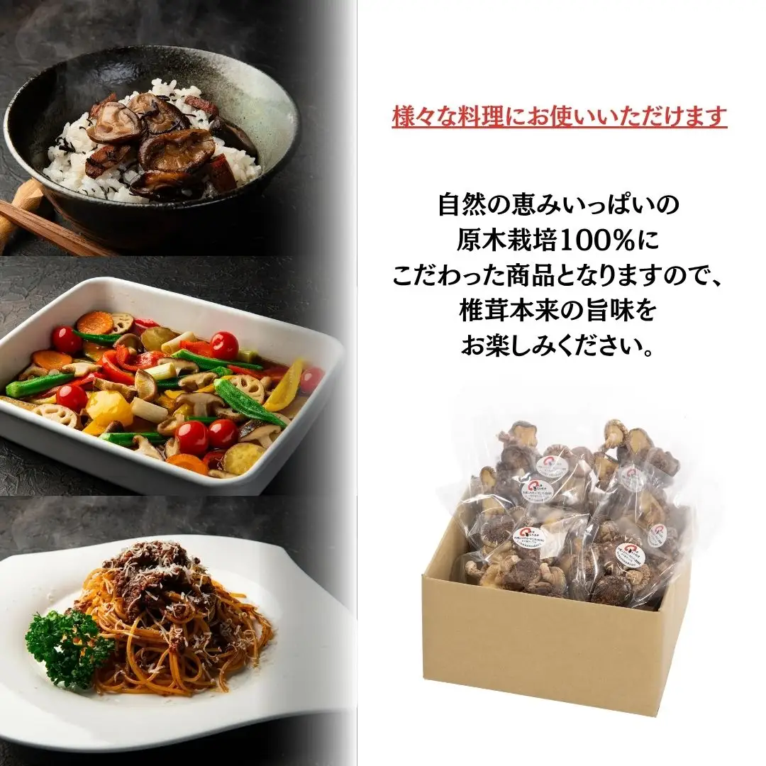 椎茸【訳あり】不揃い原木椎茸 10袋セット