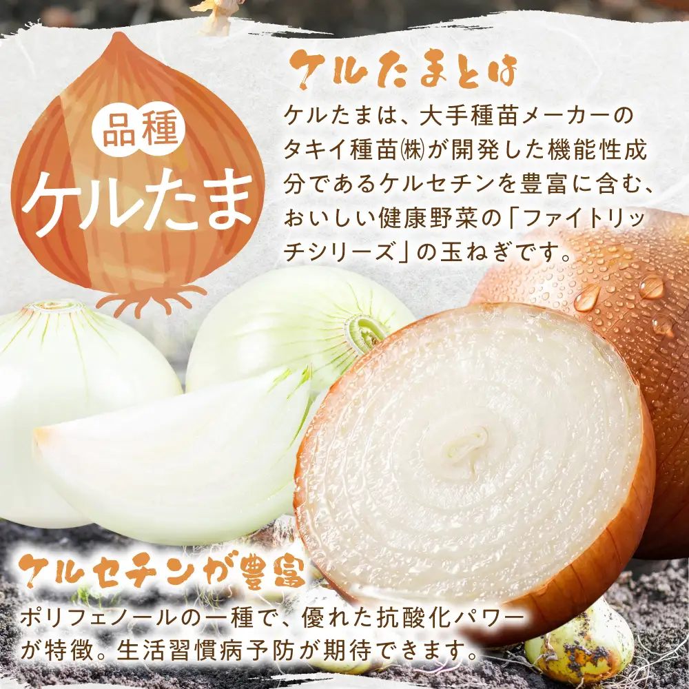 ＼8月末までの期間限定50箱／ びわこオニオン(ケルたま) 株式会社東近江あぐりステーション 滋賀県 東近江市 O-F10 玉ねぎ 玉葱 タマネギ ケルたま 10kg 野菜 旬 常温 滋賀 国産