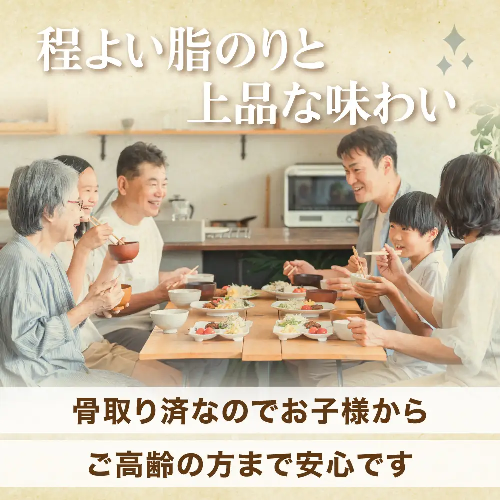 銀鮭 フレーク 200g×5入 | ss00024-200g5p