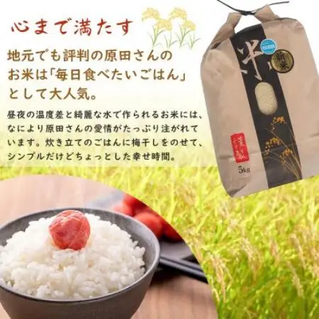【令和8年産】鳥取県産「コシヒカリ」精米 10kg(5kg×2)【1746430】