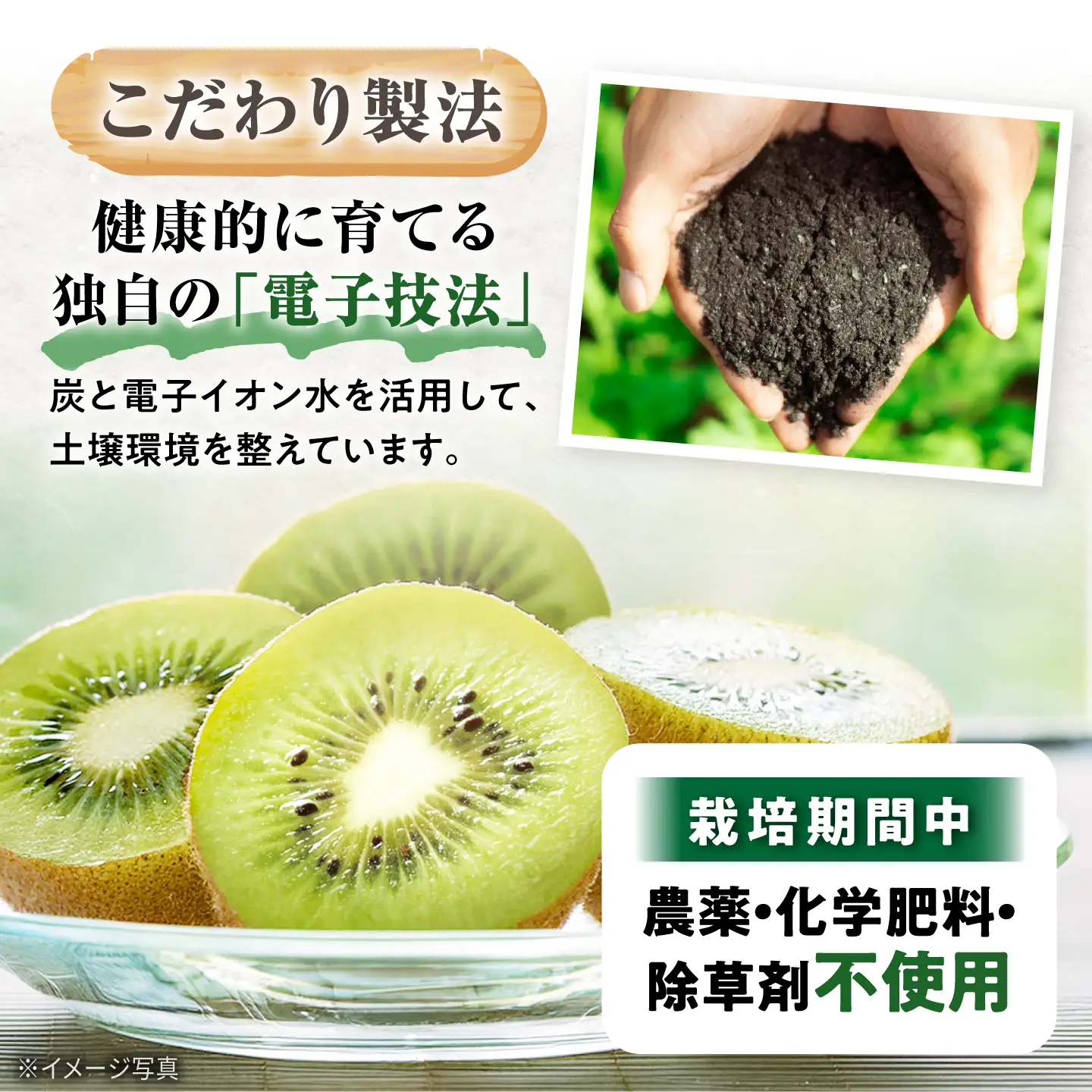キウイ 訳あり キウイフルーツ ヘイワード サイズ不揃い 約1kg 10個前後 / フルーツ 果物 キウイフルーツ キウイ キューイ キゥイ キュウイ 甘い 先行予約 1kg 愛媛 / 愛媛県砥部町/株式会社電子食品流通研究所[BJBL003]