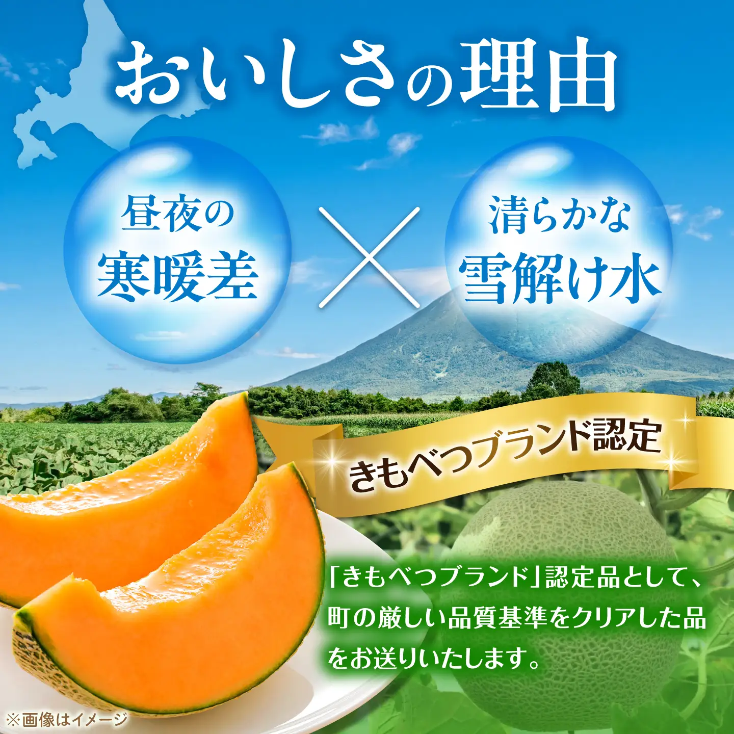 メロン キングルビー 2玉（2kg以上/玉）[AJAY001] メロン 北海道