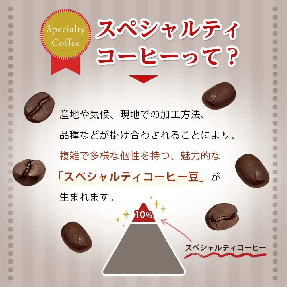 【お中元ギフト】【向島の珈琲豆焙煎所】ティーバック式コーヒーバッグ18個
