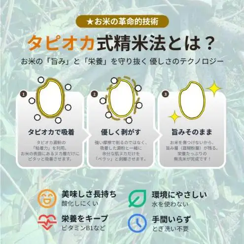 無洗米 新潟産 コシヒカリ 3kg 令和7年産