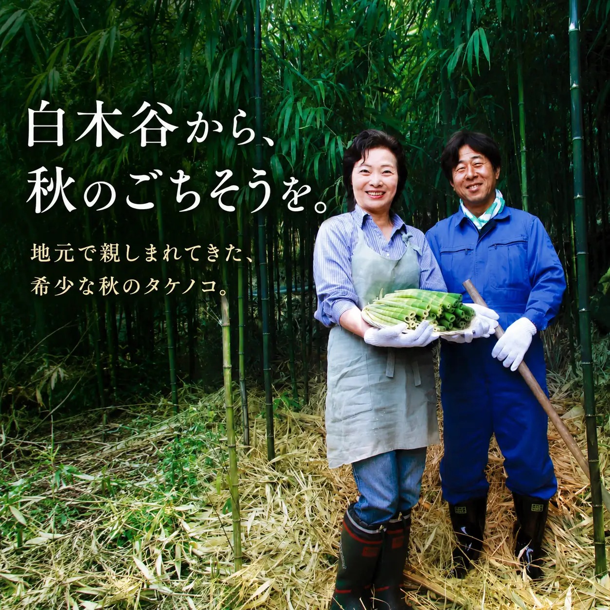 【8月まで 受付限定】 国産 四方竹 水煮 120g × 2袋 (2026年11月～発送) | 国産 シホウチク 筍 たけのこ 特産 珍味 希少 高知 南国市
