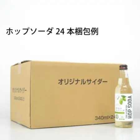 ノンアルコール 炭酸水 遠野風の丘 ホップソーダ 340ml 24本セット【1323060】