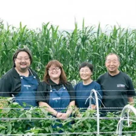 旬のとれたて野菜セット(7~10品)レギュラーサイズ【こんたでぃーの遠野】【配送不可地域：離島】【1328912】