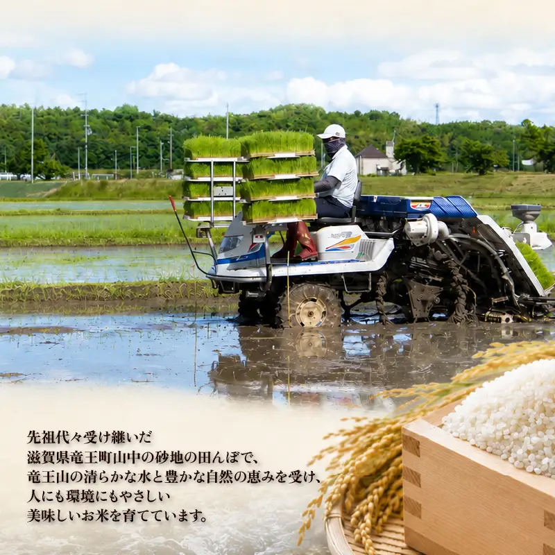  3回定期便 令和7年 ミルキークイーン 白米 5kg × 3回 
