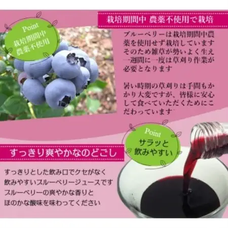 【栽培期間中農薬不使用】遠野のブルーベリーから絞った原液 180ml×4本セット 道の奥ファーム【1476687】