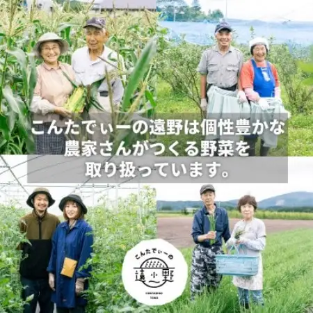 マルカツわさび 小サイズ 10本 真空 岩手県遠野市産【こんたでぃーの遠野】【配送不可地域：離島】【1485586】
