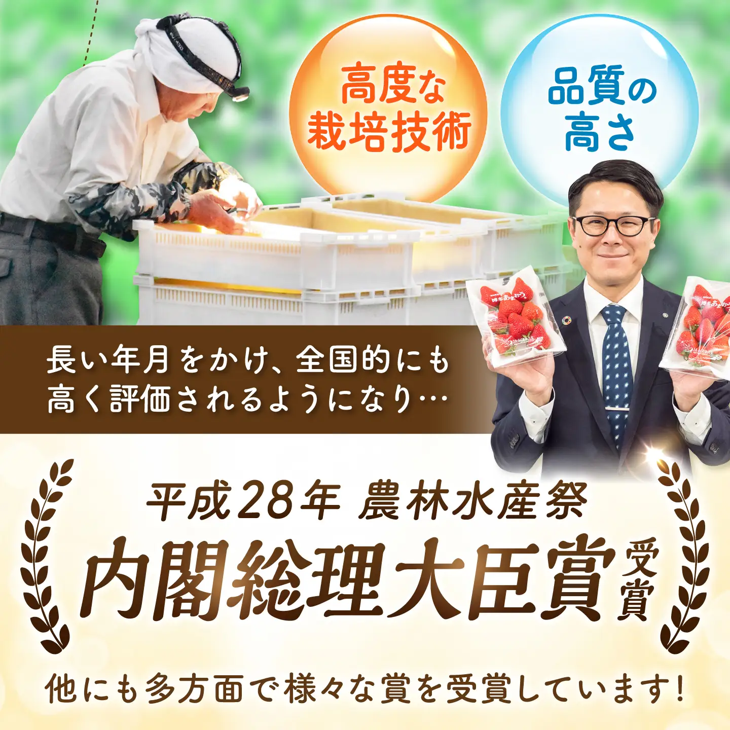 【4月発送】あまおうG等級 3ケース（約270g×6パック） 広川町 / JAふくおか八女農産物直売所どろや[AFAB105]