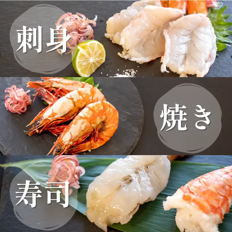 えび 3kg 足赤海老 えび