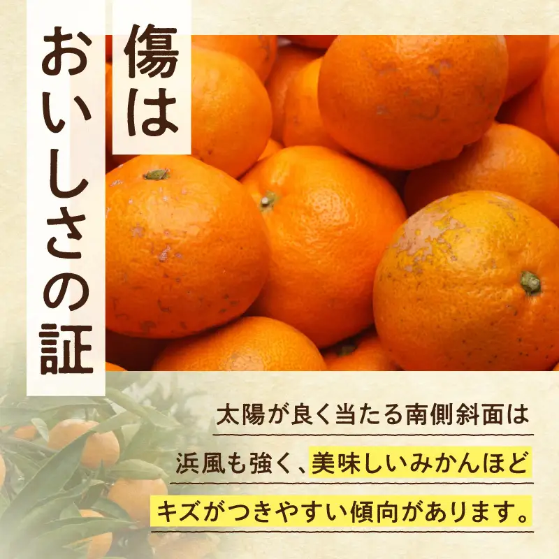 【2026年先行予約】家庭用 完熟有田みかん約2.5kg+250g（傷み補償分）【わけあり・訳あり】【光センサー選果】_ZH7127