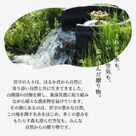 遠野どぶろく 氷結 生 どぶろく 岩手県遠野市から / 冷凍 発送 宮守川上流生産組合【配送不可地域：離島】【1634924】