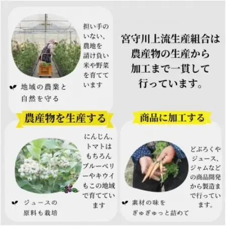 ジュース にんじん 旬素材 1L 6本 / 宮守川上流生産組合 遠野産 100%【1634969】