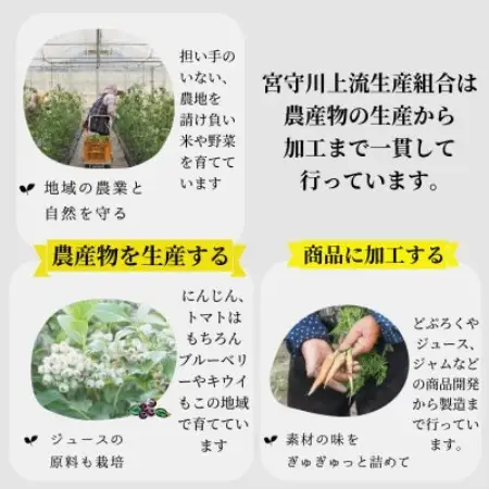 宮守楽園 ジュース 3種  6本 セット / 宮守川上流生産組合 遠野市【1635004】