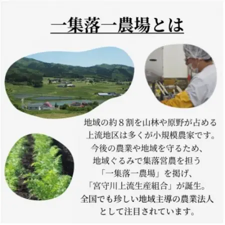 遠野あまざけ＆燻製とうふ セット/ ギフト 詰め合わせ 岩手県 遠野市 宮守町 産【配送不可地域：離島】【1635011】