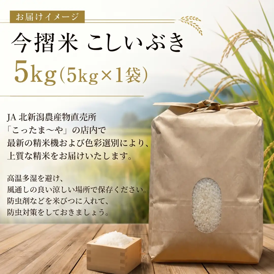 今摺米 こしいぶき 5kg （ 5kg × 1袋 ） 令和7年産 JA ブランド米 米 お米 米5kg 精米 いまずりまい ごはん こめ おむすび おにぎり 弁当 おかず 色彩選別 鮮度 雪解け水 贈答 ギフト 国産 新潟 新発田 JA北新潟 こったま～や JA011