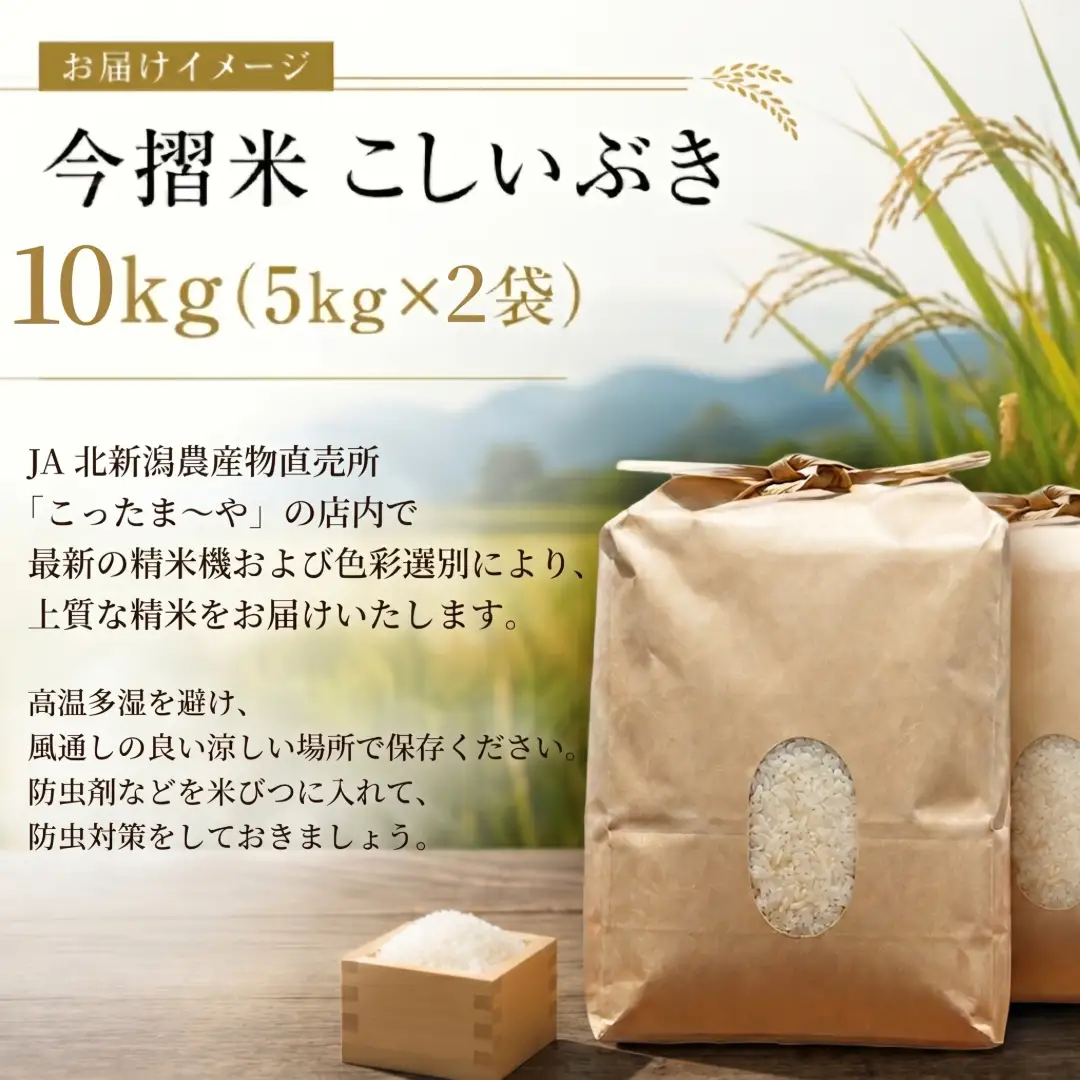 今摺米 こしいぶき 10kg （ 5kg × 2袋 ） 令和7年産 JA ブランド米 米 お米 米10kg 精米 いまずりまい ごはん こめ おむすび おにぎり 弁当 おかず 色彩選別 鮮度 雪解け水 贈答 ギフト 国産 新潟 新発田 JA北新潟 こったま～や JA012