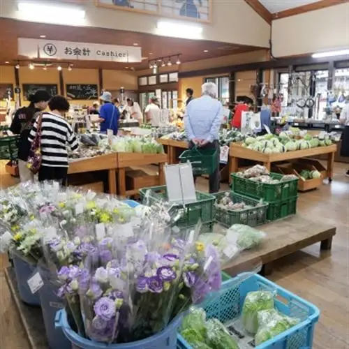 遠野産葉わさびソーセージ 5本入り×3袋 道の駅 遠野風の丘【配送不可地域：離島】【1735047】