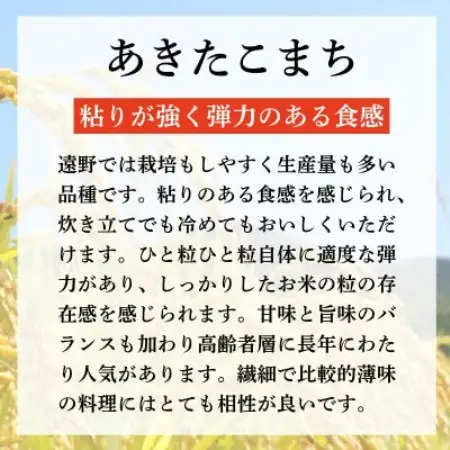 無洗米 あきたこまち 300g(2合)×10個 真空パック セット 合計3kg 令和7年産【1747556】