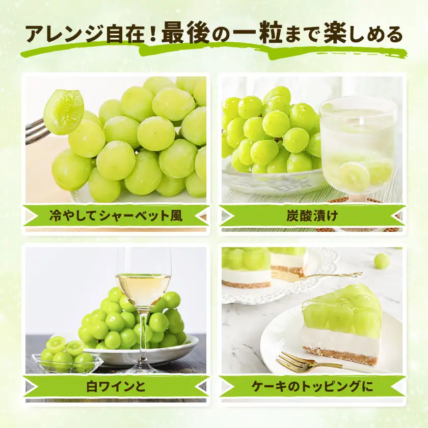 シャインマスカット 1.5kg 株式会社エフビーネット《8月中旬-9月上旬頃出荷》熊本県 菊池市 ぶどう ブドウ マスカット 果物 フルーツ デザート ギフト ご贈答 熊本県産