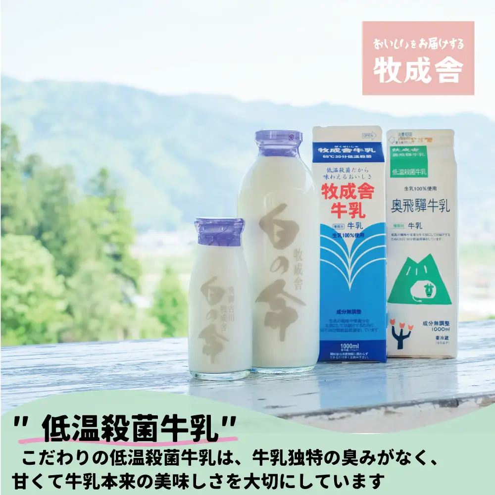 【毎週定期便 牛乳 6本×8回】 毎週 回数選べる 2ヶ月 飛騨産生乳100％ 牧成舎 美味しい低温殺菌牛乳 乳製品 飛騨 お楽しみ