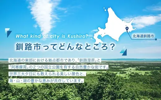 【 決済から14日以内に発送 】 北海さば 低温熟成 一夜干し × 3枚 鯖 さば サバ 干物 干し 魚 さかな 魚介 海鮮 肴 おつまみ ご飯のお供 おかず