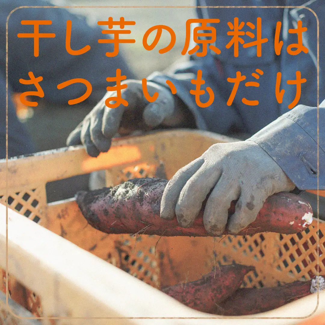 【 スピード発送 】 訳あり 干し芋 「 もったいなイモ 」 1.2kg ( 300g × 4パック )