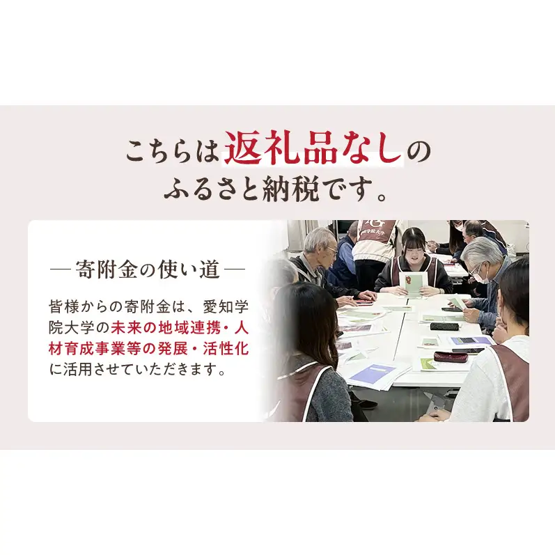 【返礼品なし】大学等連携事業補助制度 (愛知学院大学) 5,000円 大学 教育 教育支援 愛知県 日進市