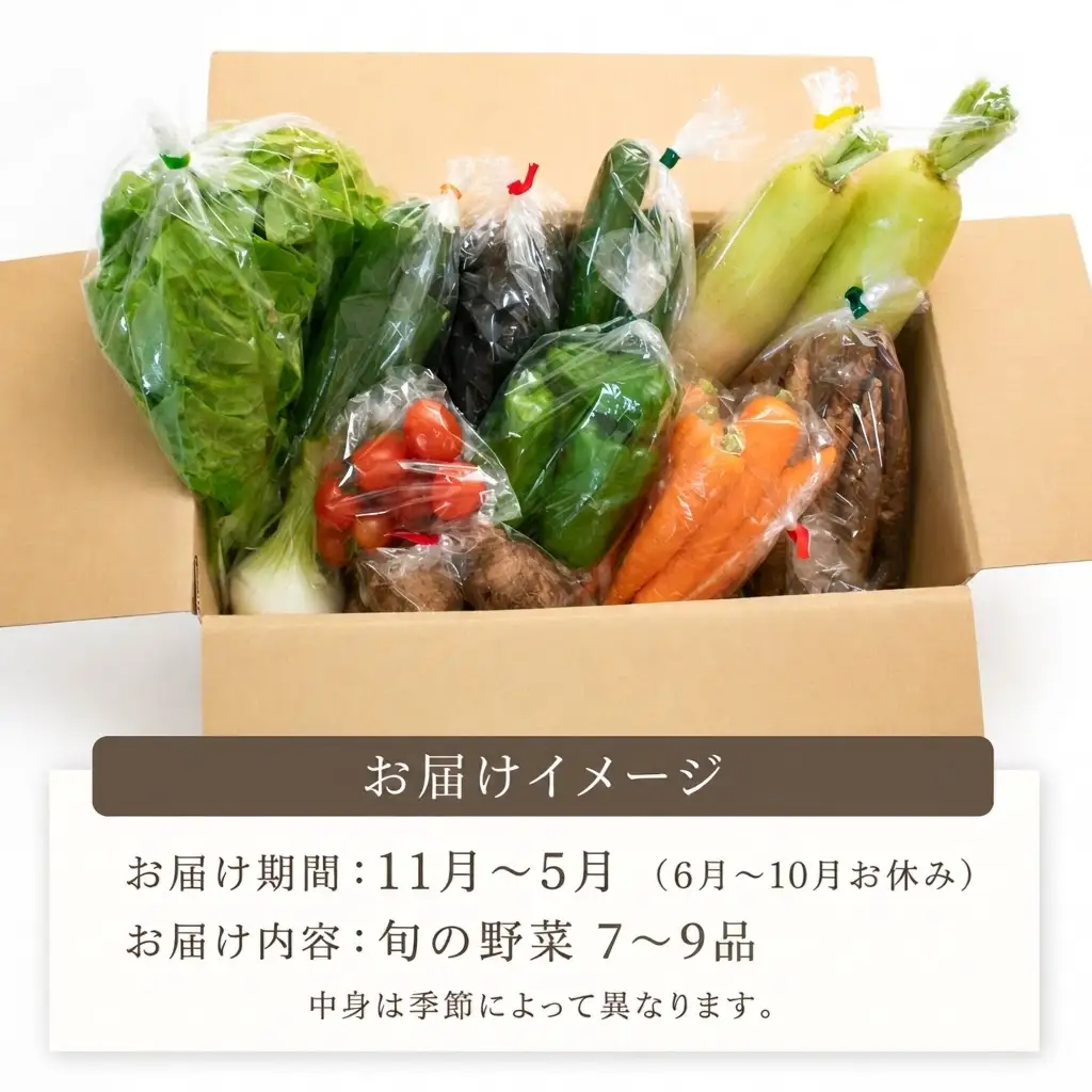 【先行予約】 新鮮野菜セット (7～9品) 