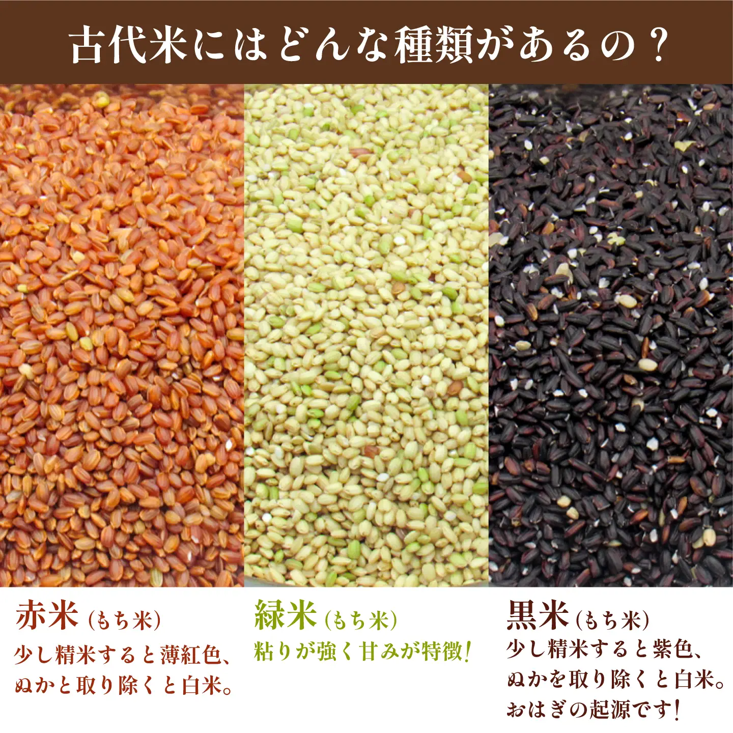 古代米 黒米 1kg (500g×2袋)  雑穀米 玄米 米 [JDB405]