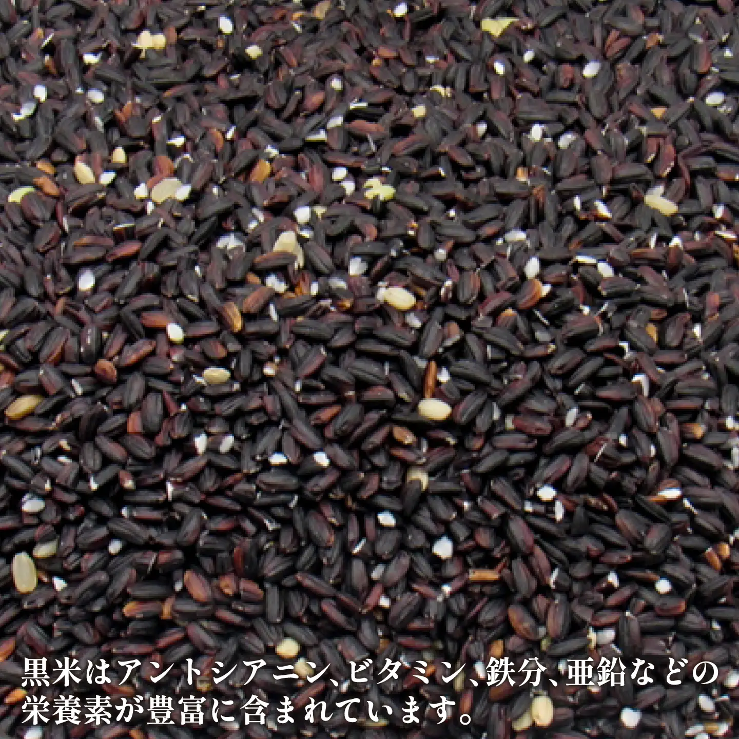 【先行予約】古代米 1.5kg JDB406