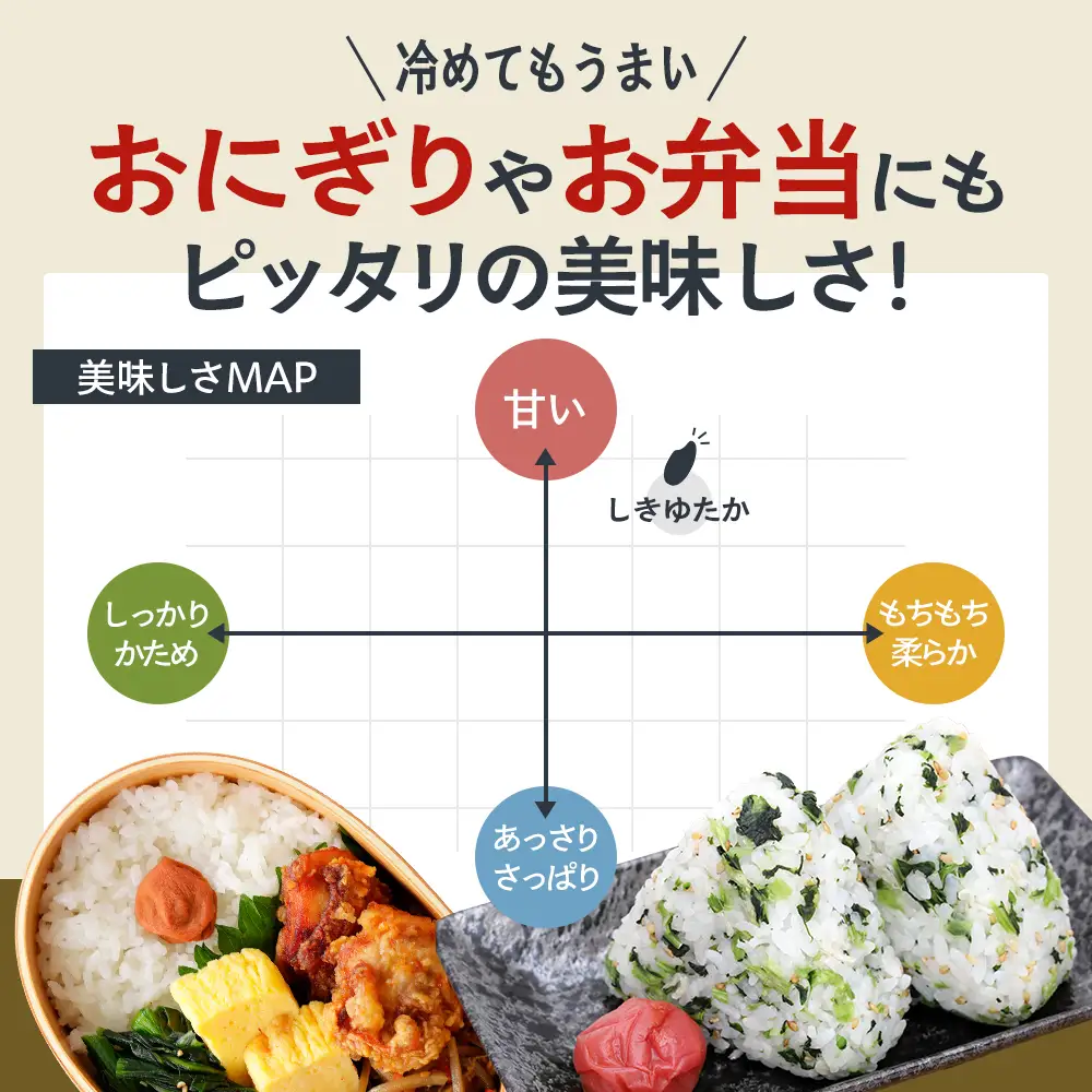 しきゆたか 令和8年産 白米 単一原料米 しきゆたか【5kg】【2026年12月発送】