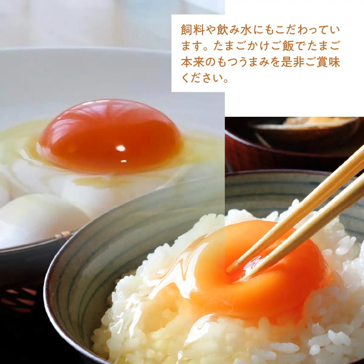 ≪飯能産≫放し飼いたまご 50個(夏季)　HNNBP004