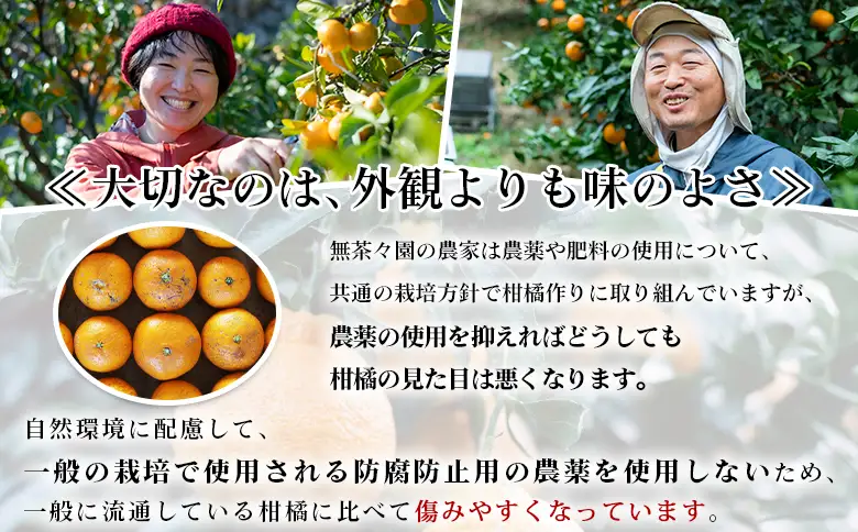  【先行予約】＜無茶々園の甘夏 約5kg＞ 果物 あまなつ みかん ミカン 蜜柑 柑橘 フルーツ 期間限定 季節限定 食べて応援 特産品 愛媛県 西予市 【常温】『2027年3月～5月上旬迄に順次出荷予定』AMC0062