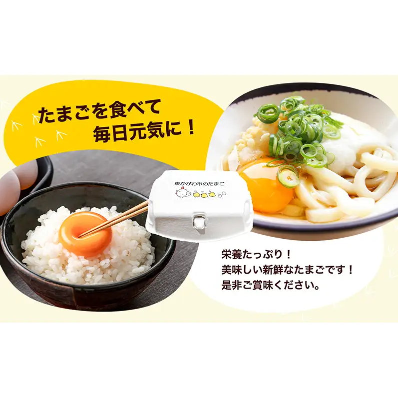 東かがわ市のたまご「鶏卵Mサイズ（10個×3P）」3ヵ月定期便 たまご 卵 鶏卵 3回 定期便