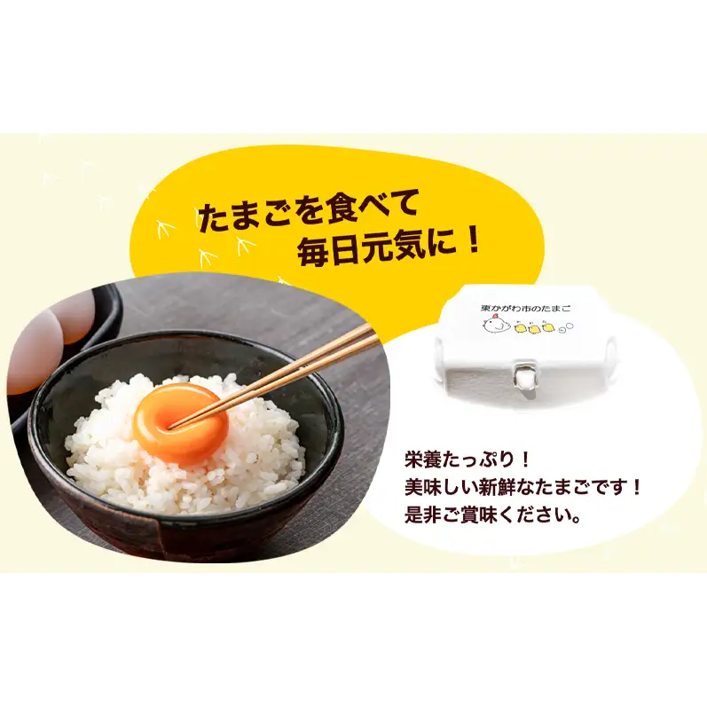 東かがわ市のたまご「鶏卵Mサイズ（10個×5P）」割れ保障1p含む 3ヵ月定期便 たまご 卵 鶏卵 3回 定期便