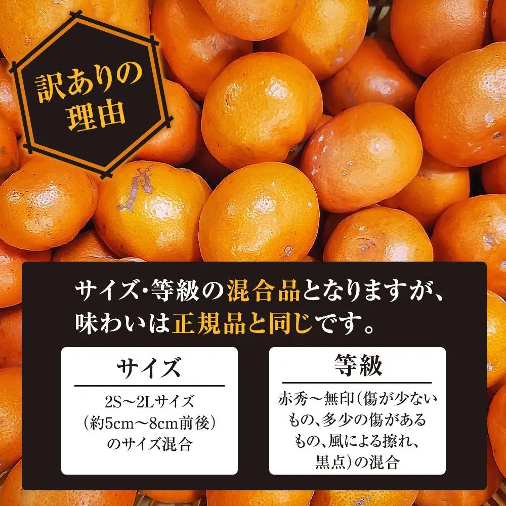 有田みかん専門店 有田の太陽®ファミリー 早生または晩生 有田みかん 9.5kg＋補償分100g 山採れ・サイズ・等級 混合