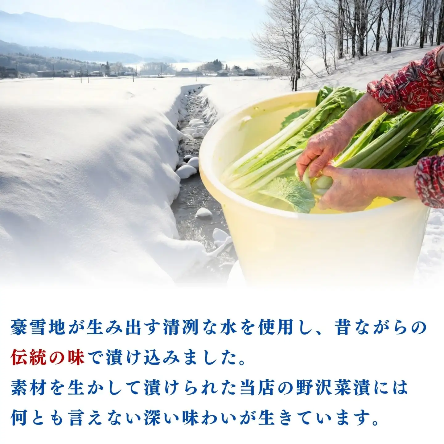 野沢菜漬 300g 5袋 合計 1.5kg《保存料・合成着色料不使用》(Bl-005) 野沢菜