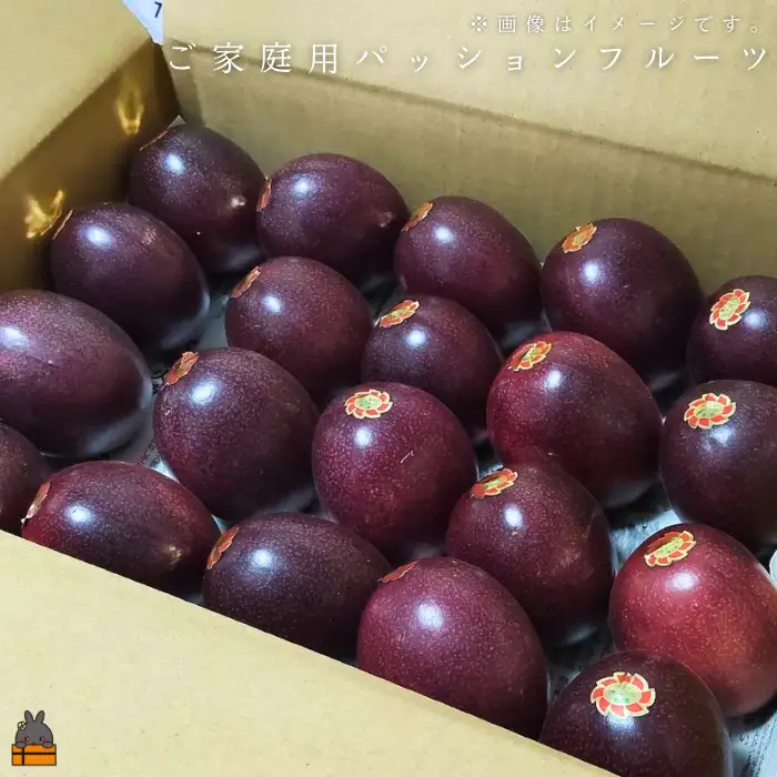 ≪今が旬！≫ 　徳之島 たいぼ農園さんのご家庭用パッションフルーツ（3㎏）フルーツ 果物