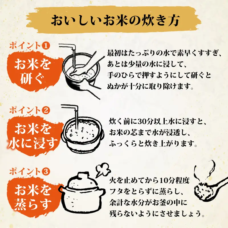米 10kg 精米 彩のきずな 米