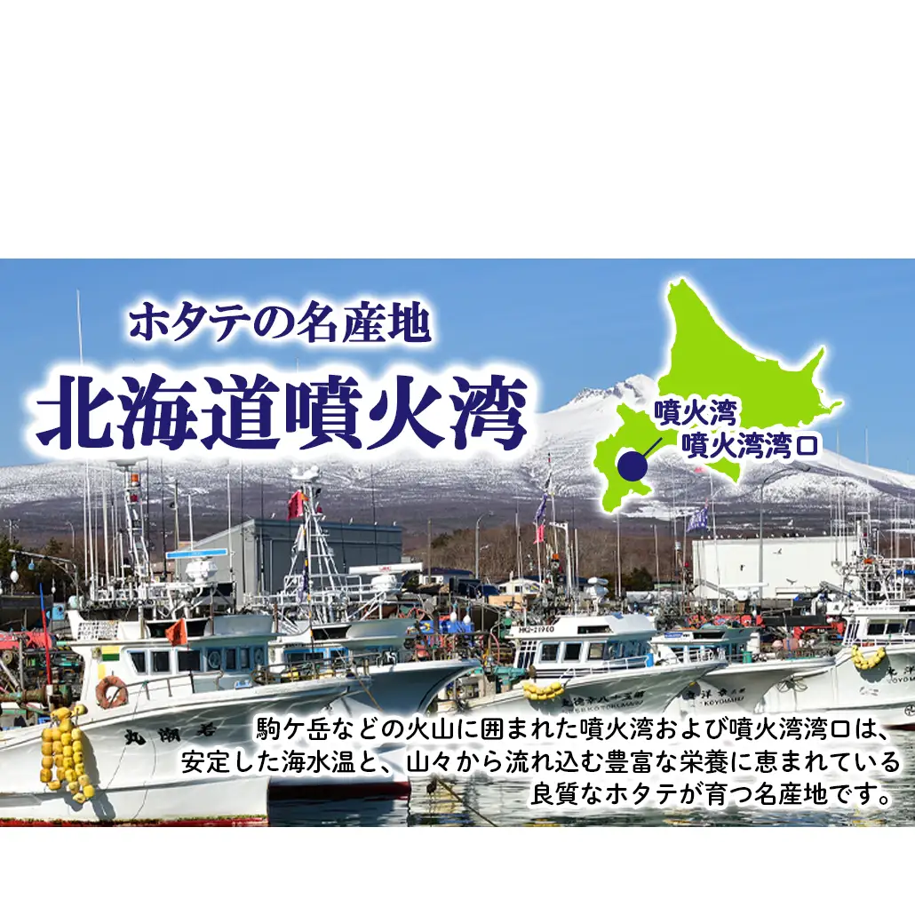北海道産 訳あり ボイルベビーホタテ 1kg(500g×2袋) ホタテ 帆立 ボイル済み