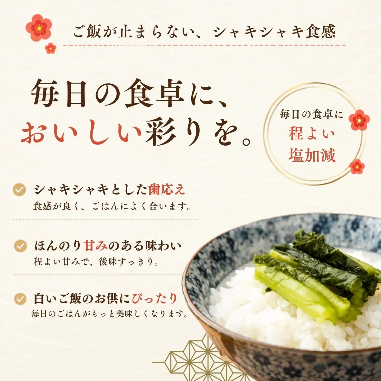 野沢菜漬 500g 5袋 合計 2.5kg《保存料・合成着色料不使用》(Bl-008)
