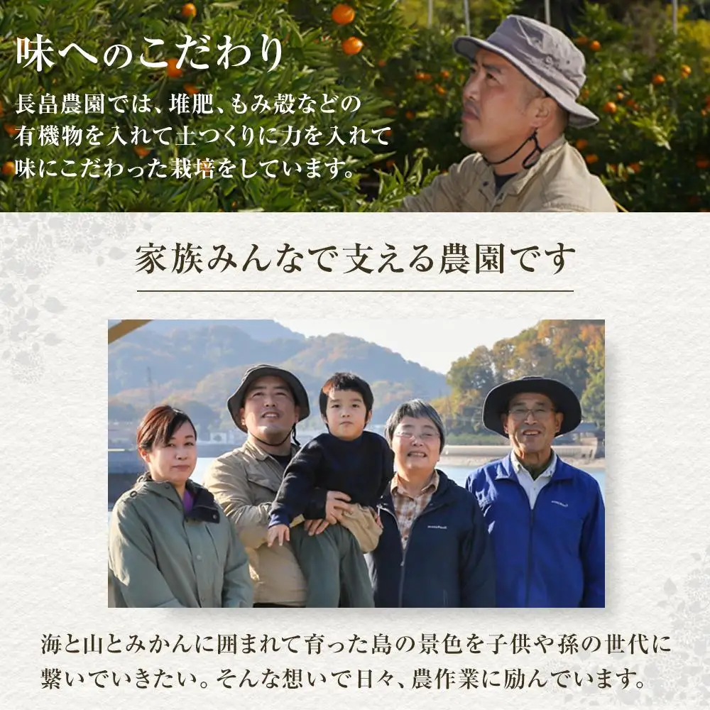 【先行予約】瀬戸田レモン3kg ＜2026年11月上旬より発送開始＞