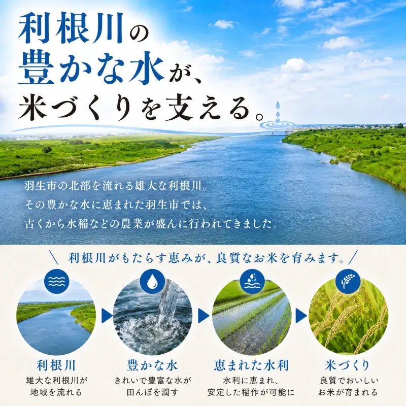 無洗米 彩のきずな 10kg 米 無洗